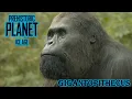 prehistoric Planet Ice age gigantopithecus screen time