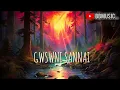 Download Lagu GWSWNI SANNAI | BODO SONG 2025 |BIKASH BASUMATARY...
