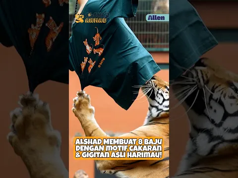 BAJU INI MEMILIKI CAKARAN DAN G1G1TAN ASLI HARIMAU!