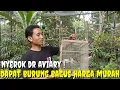 Lagu BUSYETT..! NYEROK BURUNG DARI MALAM SAMPE SUBUH, DAPAT BURUNG BAGUS HARGA MURAH