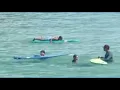 Shark biologist says attack in Panhandle was most likely a bull shark