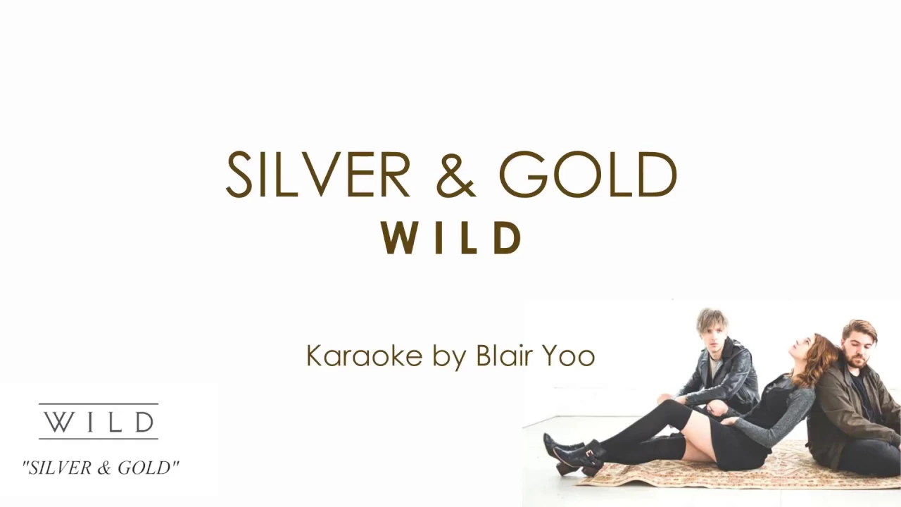 SILVER & GOLD - W I L D (Karaoke Ver.) SILVER & GOLD - W I L D (Karaoke Ver.)