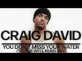 Craig David - You Don't Miss Your Water ('Til the Well Runs Dry) (Official Audio)
