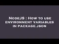 NodeJS How to use environment variables in package json