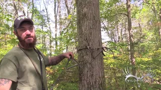 Tips and Techniques for the SteppLadder by Wild Edge