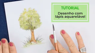 Tutorial: Desenho com lápis aquarelável :: Passo a passo - Rosinha Imthurm