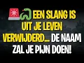 Download Lagu 🚨🐍 EEN SLANG is uit je leven verwijderd... De naam zal je pijn doen!