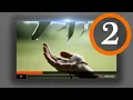 Custom HTML5 Player Volume and Time