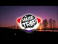 Jay hardway - golden pineapple /House Trap/