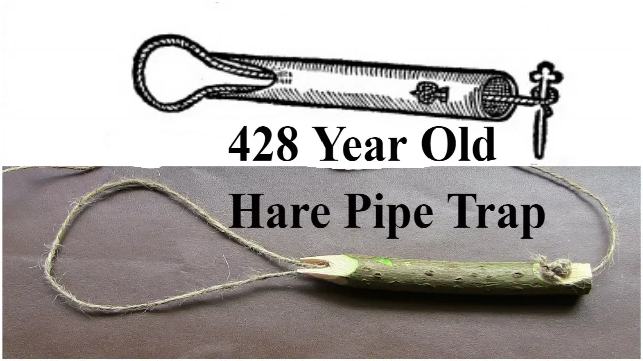 HARE PIPE TRAP (MASCALLS OTHER TRAPS)