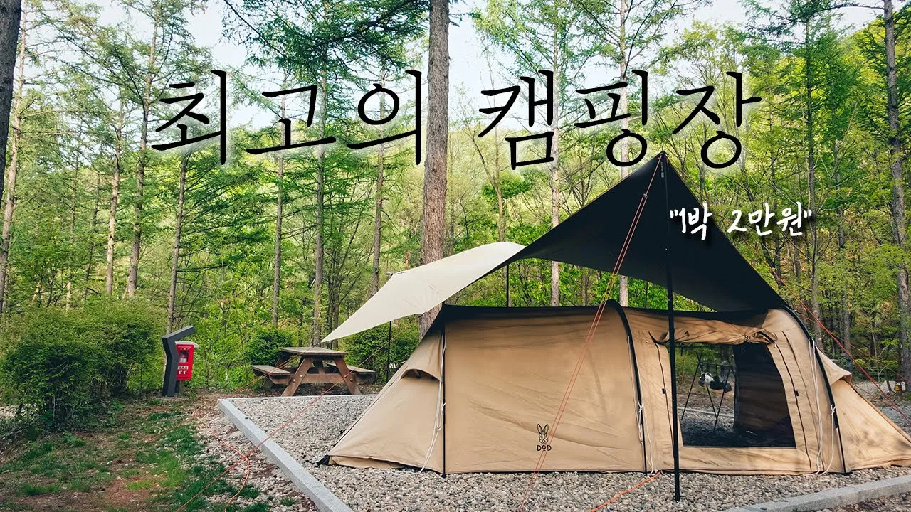 국립화천숲속야영장 | 단돈 1박2만원 | 환경, 시설, 가격까지 100점! 최고의 국공립 캠핑장 | 에이웍스실타프 サムネイル