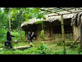 Download Lagu CEO left the city to live in the forest in an abandoned house.