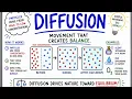 What is Diffusion How Does it Work What Factors Affect it
