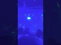 black midi - bmbmbm @ Rollinghall 2022.12.02