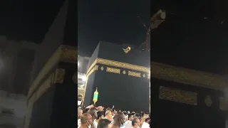 آمالنا بالله   لا إل ه إل ا الله  الحرم المكي  مكة المكرمة  راشد الماجد   مشاري العفاسي  لايك متابعة دندنها