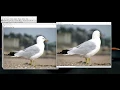 How to make stack from multiple images using ImageJ or Fiji