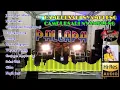 New palapa full album campur sari