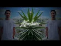 STEEVE WEST X KALIPSXAU - MONALISA (REMIX 2023)