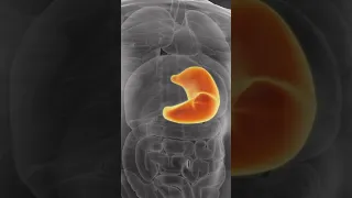 هل جرثومة المعدة تسبب حرقان معدة 