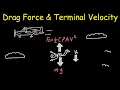 Drag Forces And Terminal Velocity Physics