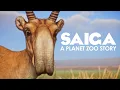 Download Lagu Building a Home for Planet Zoo's Most Unique Animal!