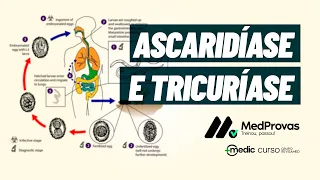 Ascaridíase e Tricuríase - Videoaula | Ciclo Básico de Medicina