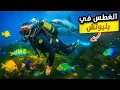 Download Lagu تحدي الغوص في الأعماق البحر😍أول تجربة غطس في شاطئ بليونش 🏝️مفاجأة تحت الماء🥶عجائب الطبيعة سبحان الله