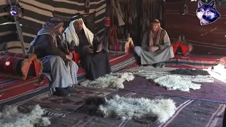 وسام البريحي 