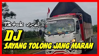 Download DJ SAYANG TOLONG JANG MARAH-MARAH tiktok viral MP3