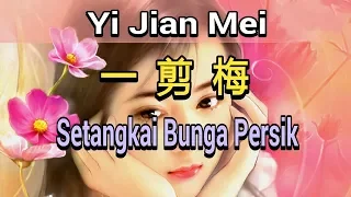 yi jian mei setangkai bunga persik 