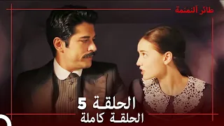 طائر النمنمة الحلقة 5 جودة عالية 