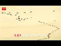 张明敏 -《梦驼铃》一首饱含历史沧桑感的歌曲，让人听了无尽感慨