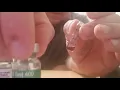Finding fake gear