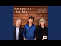 Download Lagu Piano Trio No. 1 in D Minor, Op. 49: I. Molto allegro e agitato