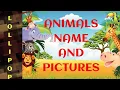 Download Lagu Learn Animals names with pictures for kids // List of Animals and pictures in English // Lollipop