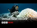 Oceans record hottest ever recorded temperature - BBC News