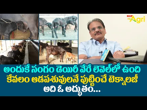 Download MP3 Sangam Dairy Milk Processing Plant | కేవలం ఆడపశువులనే పుట్టించే టెక్నాలజీ అది ఓ అద్భుతం..! Tone Agri