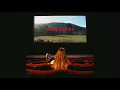 Jade Bird - Cathedral (Acoustic)
