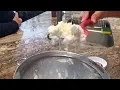 Mayo Clinic Minute What is kefir