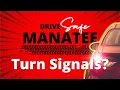 TURN SIGNALS
