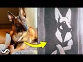 Download Lagu Turning a Picture of My Dog into a Damascus Pattern