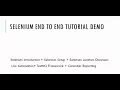 Selenium End to End Tutorial Demo - Part 1