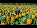 Download Lagu Harvesting HUGE Pineapples and Selling Them at Market, Taking Care of the Flower Garden
