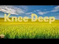 Zac Brown Band - Knee Deep (feat. Jimmy Buffett) (Lyrics)