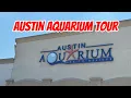 Austin Aquarium Tour TX USA