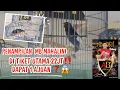 Download Lagu Penampilan Murai Batu MAHALINI di Tiket Utama 22Jt ‼️ Dapat 1 Ajuan ❓😱