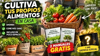 Dos regalos, una clase gratis y una sorpresa que todavía no puedo revelar… 🌱