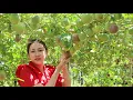Download Lagu Harvesting Passion Fruit After 6 Months of Planting - Ella Relax