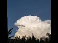 Short Time-lapse Towering Cumulous to Cumulonimbus