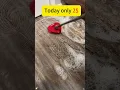 Download Lagu Revolutionize Cleaning with This Sparkling Mop Head